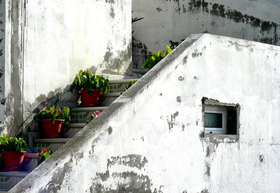 Flower Stairway Photograph by Jean Wolfrum