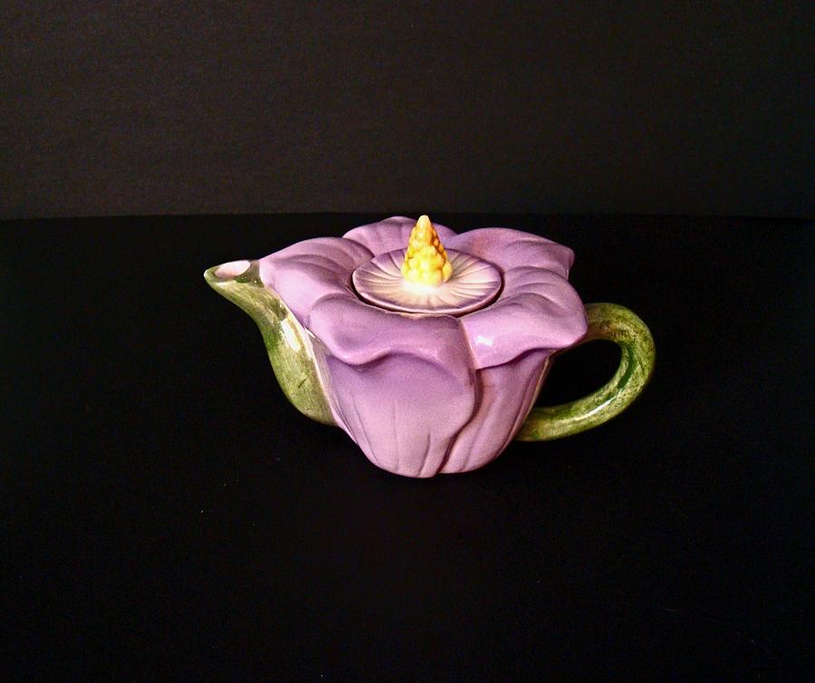 Flower teapot Photograph by Nick Kloepping
