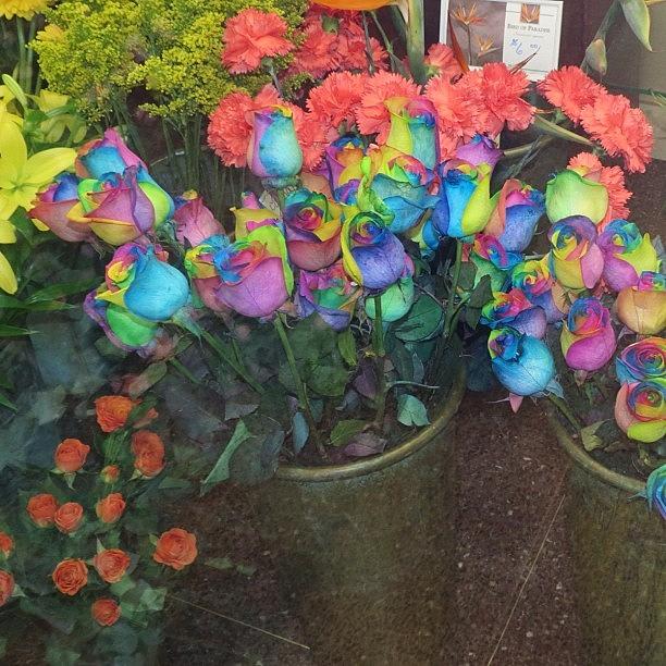 Flowers Still Life Photograph - #flower #tiedye #happy #beauty #colors by Jenna Luehrsen