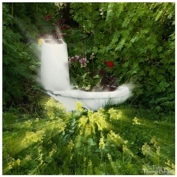 Summer Photograph - Flower Toilet #flower #fantasy by Thomas Berger