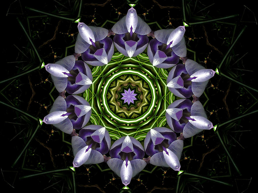 Abstract Digital Art - Flower by Design Windmill