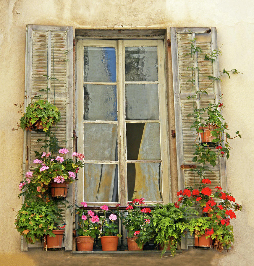 Flower Window Provence France Photograph by Dave Mills