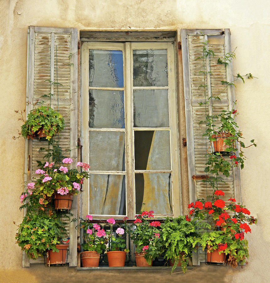 Flower Window Provence France Photograph by Dave Mills - Pixels