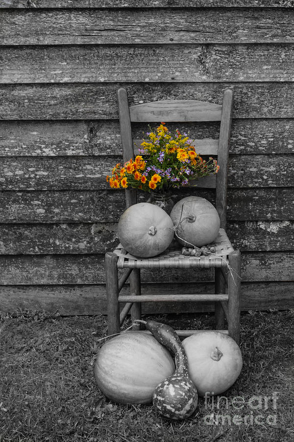 Black And White Photograph - Flowers and Pumpkins by Brenda Combs