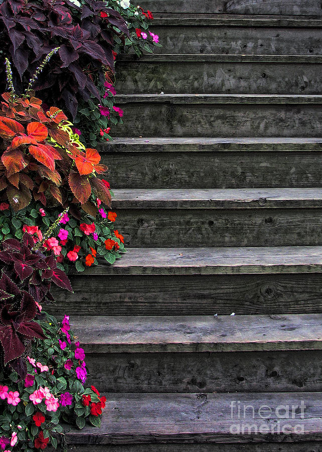 Flowers and Steps Photograph by Joanne Coyle