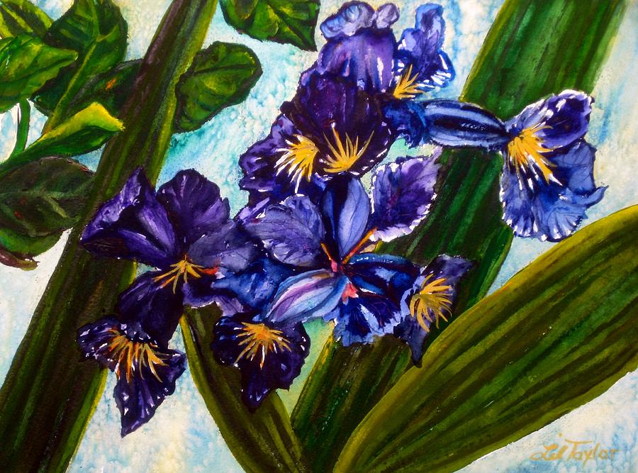 Iris Painting - Flowers in Your Hair I by Lil Taylor