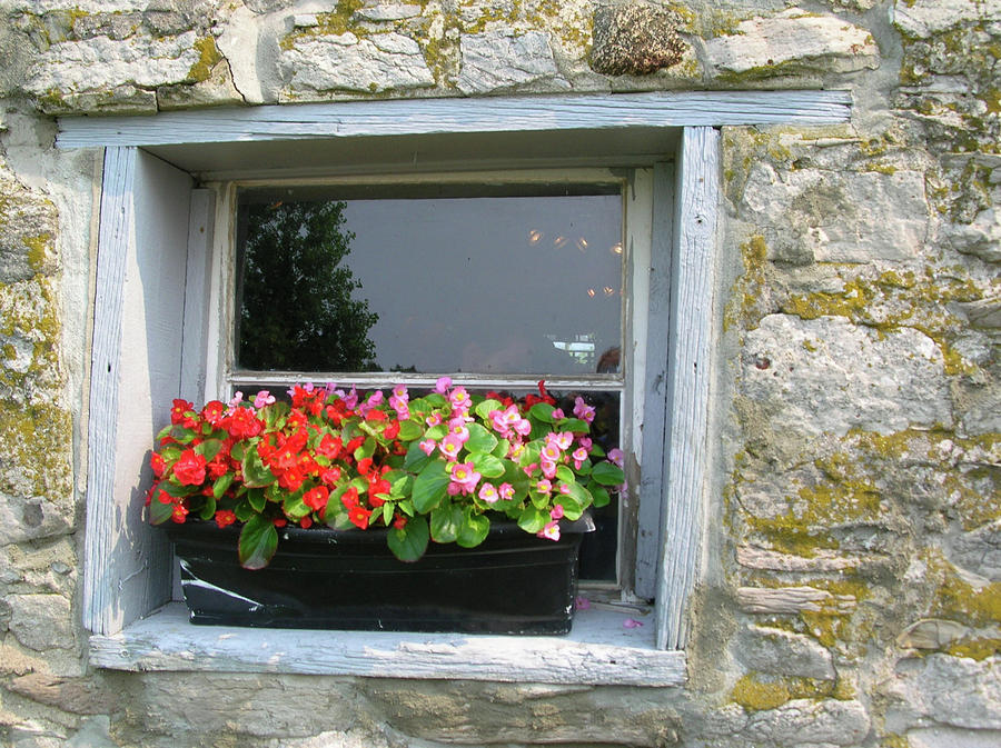 Window Photograph - Flowers With A View by Alan Rutherford