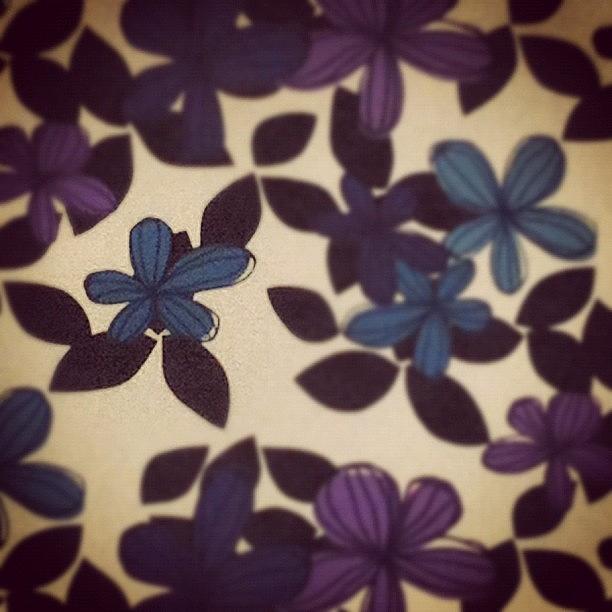 Flower Photograph - #flowers#instacanvas#wallpaper by Cem Koronel