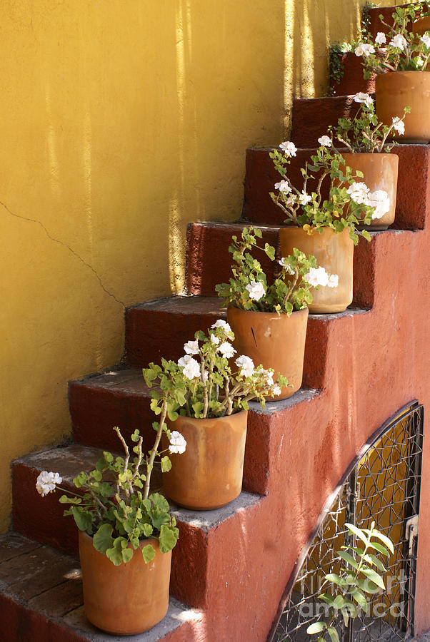 FLOWERY STAIRCASE San Miguel de Allende Mexico Photograph by John  Mitchell