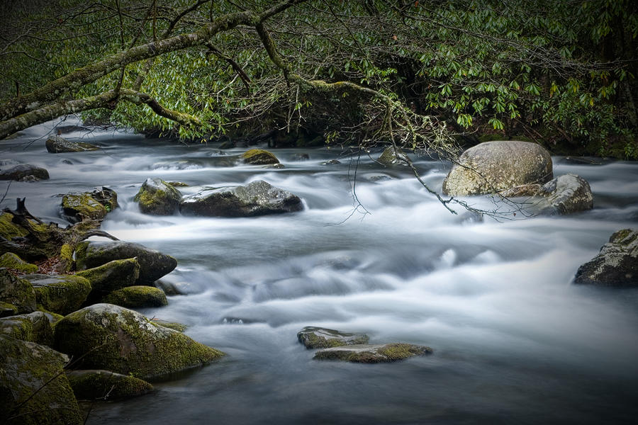 Flowing stream in the Smoky Mountains Photograph by Randall Nyhof