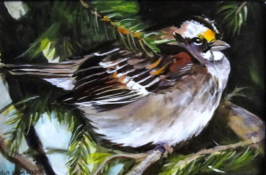 Fluffed Up for Comfort Painting by Edith Hunsberger