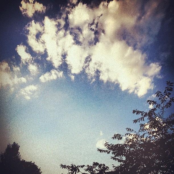 Nature Photograph - Fluffy Clouds Hang Overhead Like A by Amber Flowers