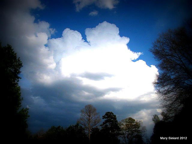 White Photograph - Fluffy Clouds by Mary Siniard