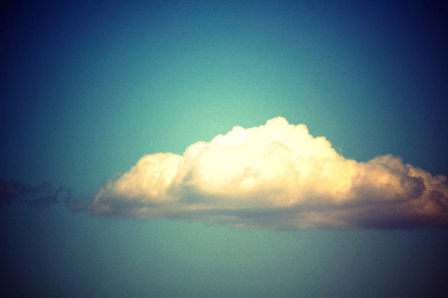 Skyscape Photograph - Fluffy White Cloud by Martha Hughes