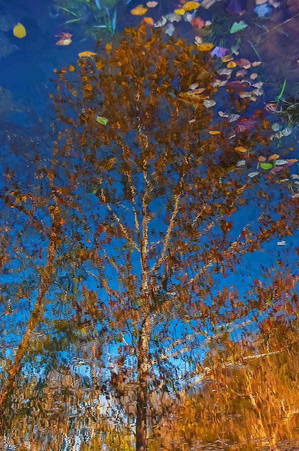 Fluid Autumn Photograph by Gene Hilton