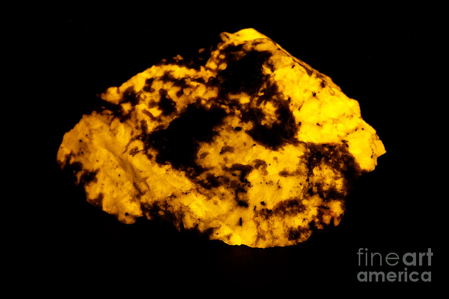 Geology Photograph - Fluorescent Wernerite Scapolite by Ted Kinsman