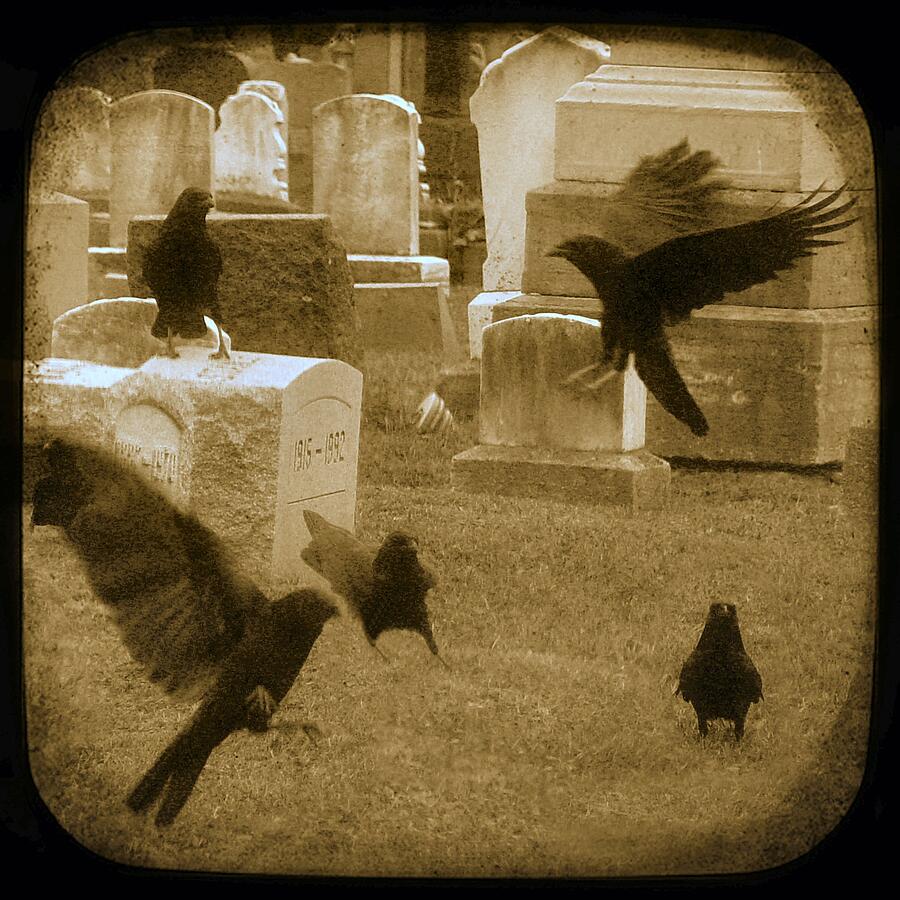 Flury Of Crows Photograph by Gothicrow Images | Fine Art America