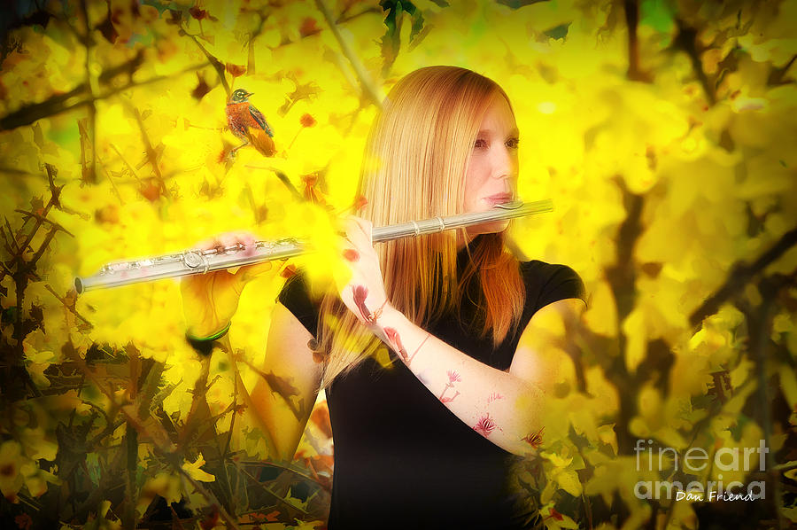 Flute And The Sounds Of Spring Photograph by Dan Friend