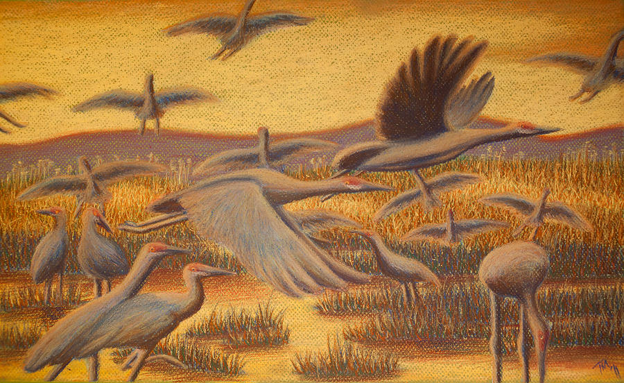 Bird Painting - Fly Away by Thomas Maynard