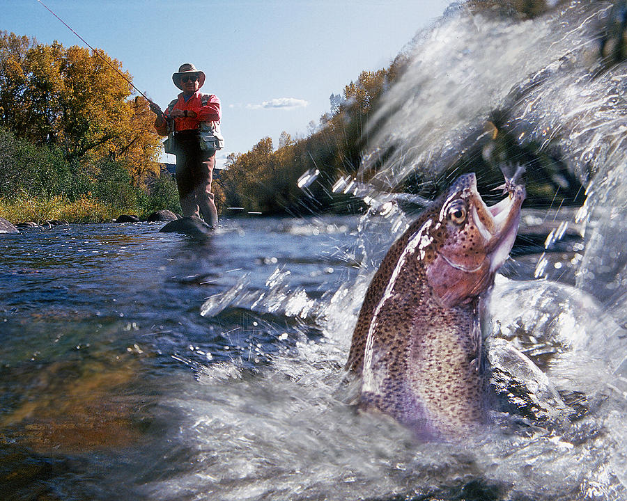 Fly Fishing for Trout Horizontal by Burton McNeely