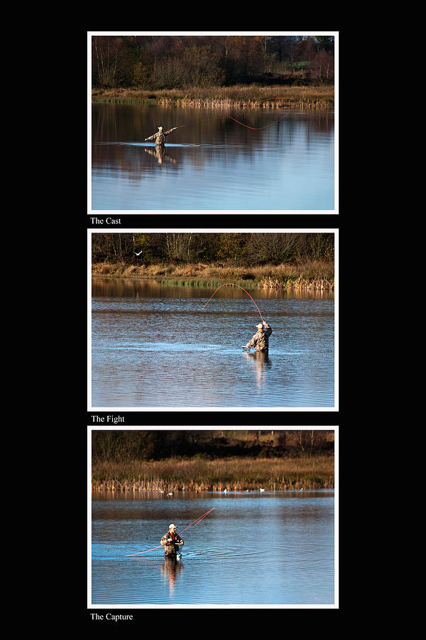 Fly Fishing Triptych Black Background Photograph by Steve Purnell