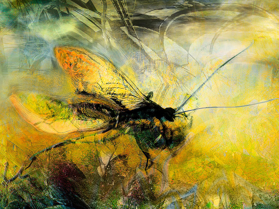 Insects Painting - Fly on the wall by Anne Weirich