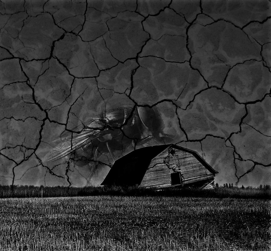 Fly On The Wall Photograph by CORE Images Fine Art America