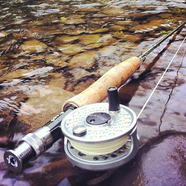Fly Rod and Reel Photograph by Dave M