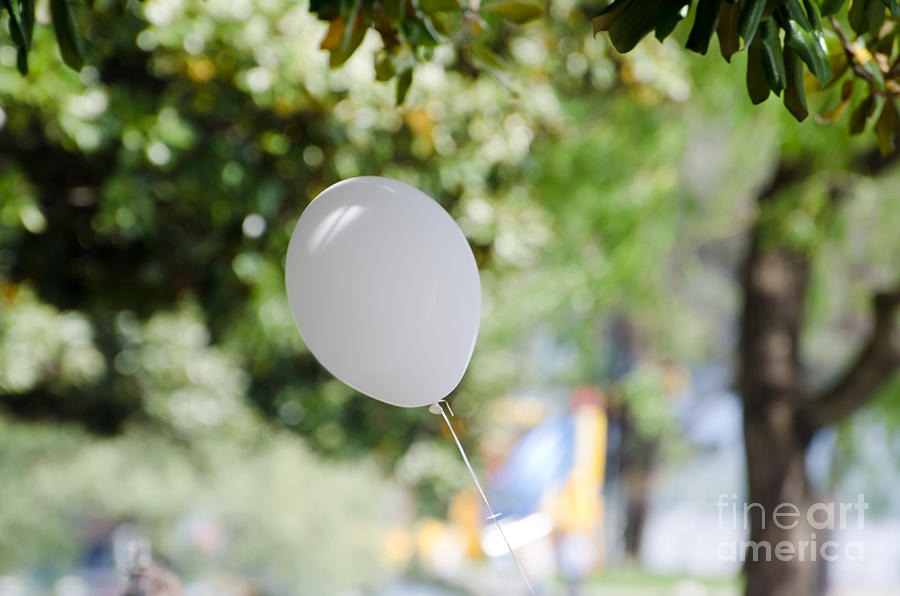 Tree Photograph - Flying balloon by Mats Silvan