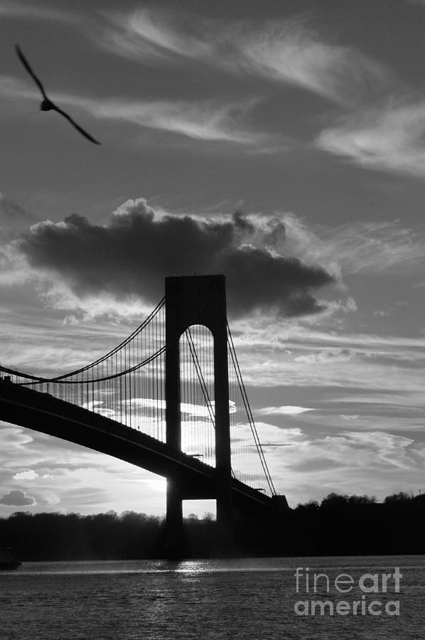 Bridge Photograph - Flying By The Verrazano Bridge by Mark Gilman