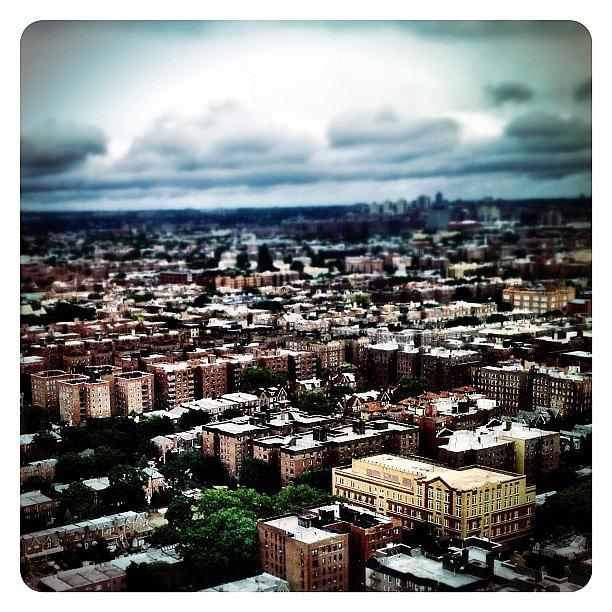 Skyline Photograph - Flying Over Queens by Natasha Marco