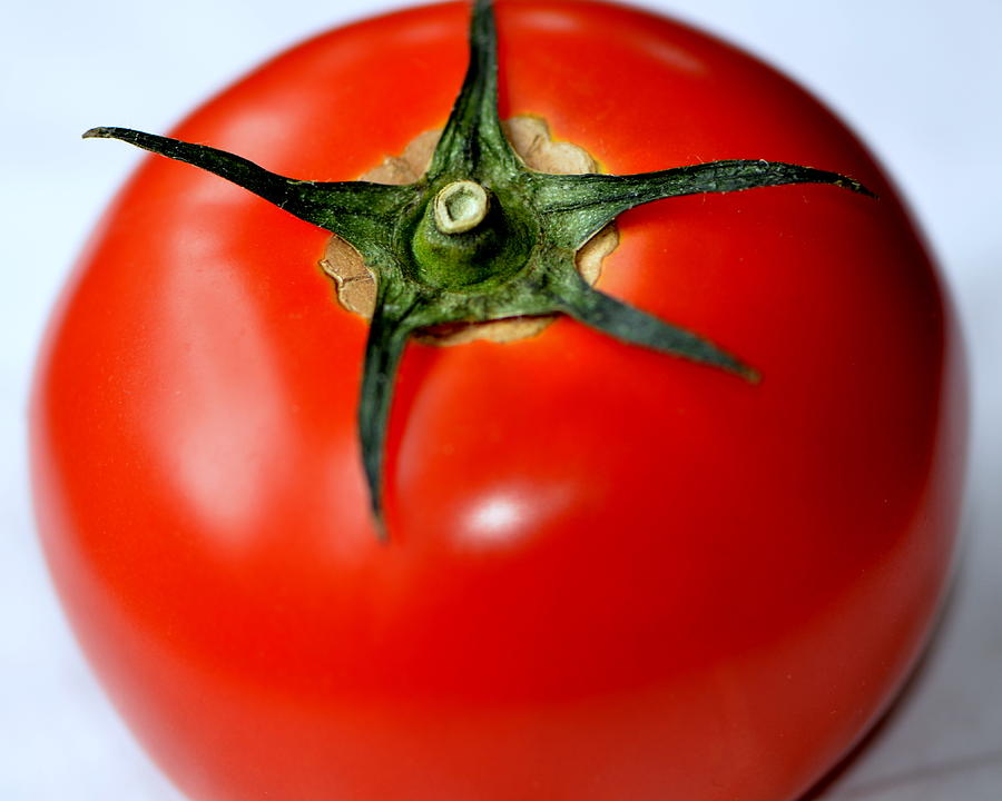 Flying Tomato Photograph by Tanya Tanski
