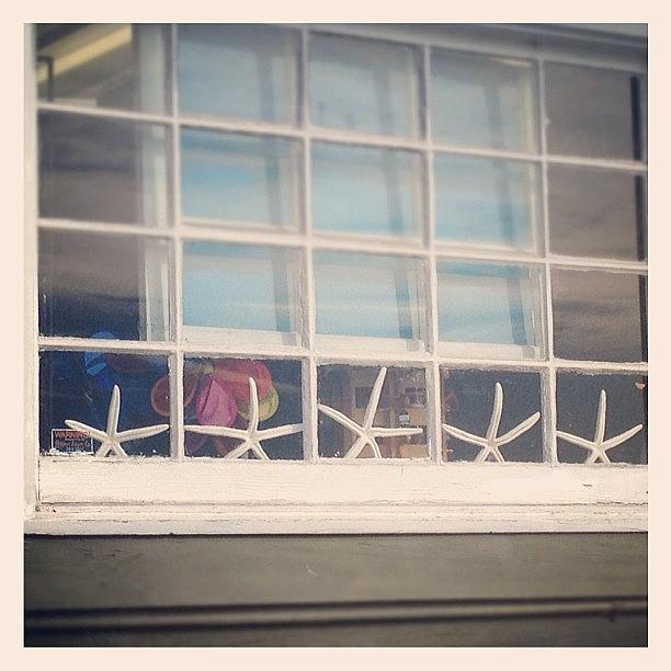 Window Photograph - #fmsphotoaday - Nov 6, A Favourite by Beach Bum Chix