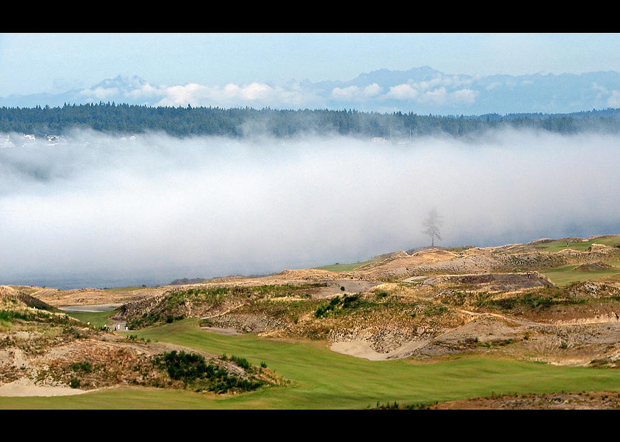 Fog and Fir - Chambers Bay Golf Course Photograph by Chris Anderson