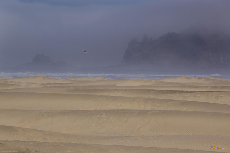 Seagull Photograph - Fog and Sand by Mick Anderson