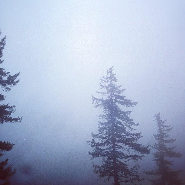 Fog At Mt. Hood Photograph by Aayla M