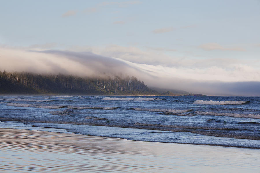 Fog Forms Over The Temperate Rainforest Photograph by Deddeda