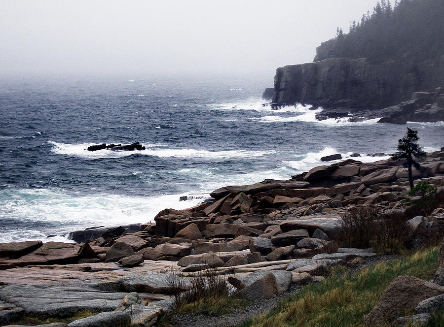 Fog In Acadia Photograph by Skip Willits