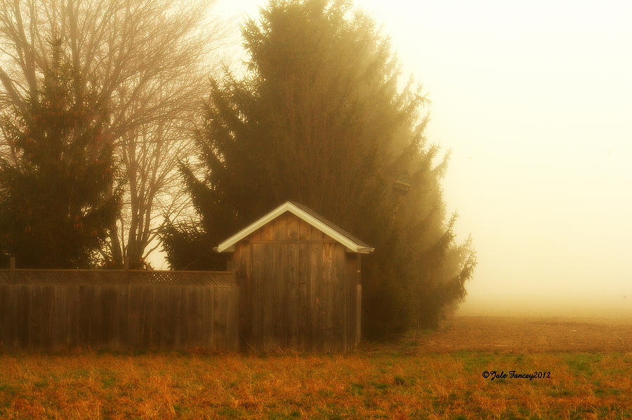 Fog in the Country Photograph by Jale Fancey