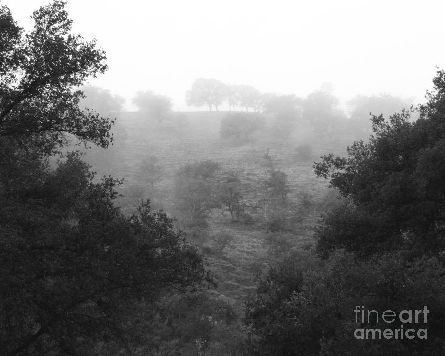 Fog on a California Hill Photograph Photograph by Kristen Fox