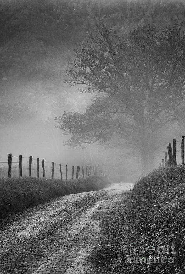 Fog on Sparks Lane Photograph by David Waldrop