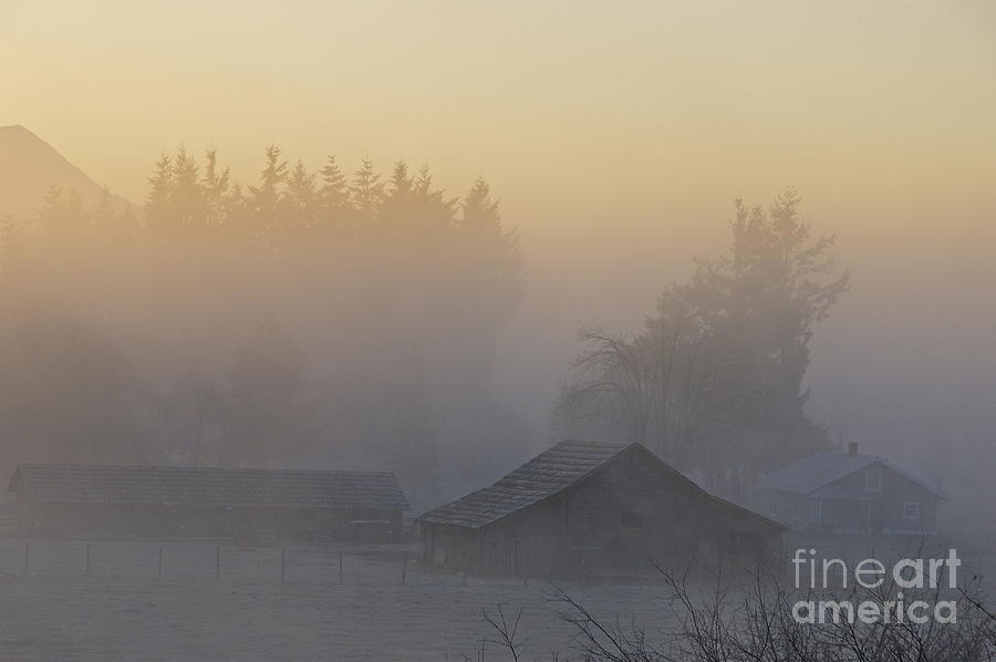 Nature Photograph - Fog on the Prairie by Sean Griffin