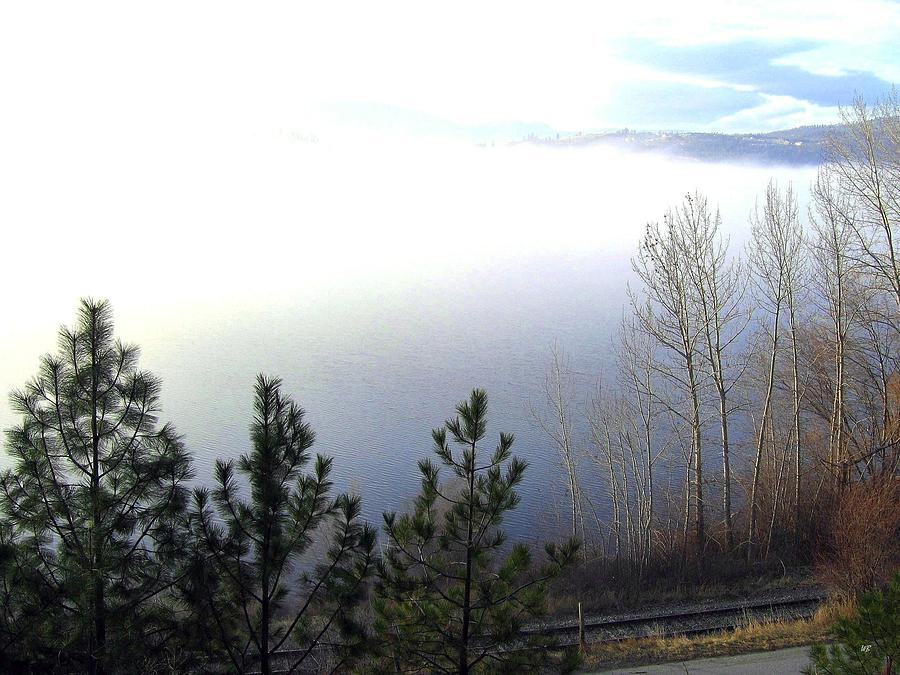 Fog On Wood Lake Photograph by Will Borden