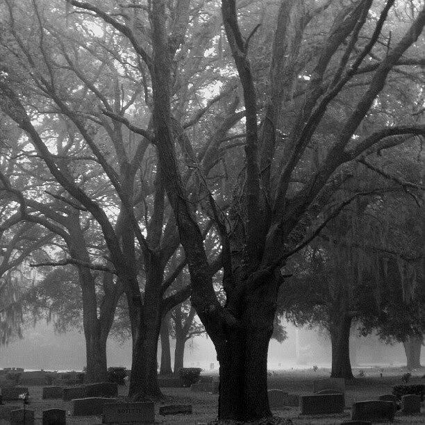 Jacksonville Photograph - Foge / #cemeteryoftheday by Sid Graves