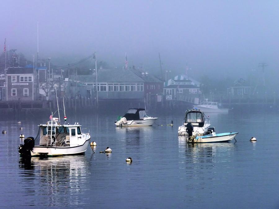 Fogged In Photograph by Janice Drew