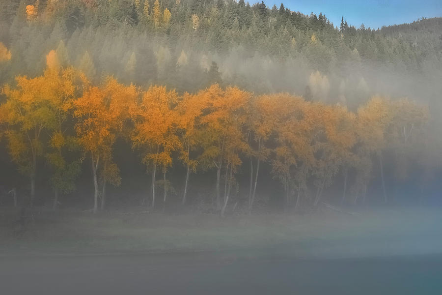 Foggy Autumn Morning Photograph by Albert Seger