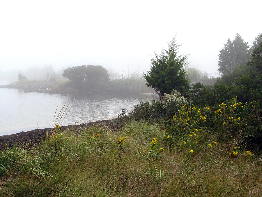 Foggy bay Painting by Clara Sue Beym