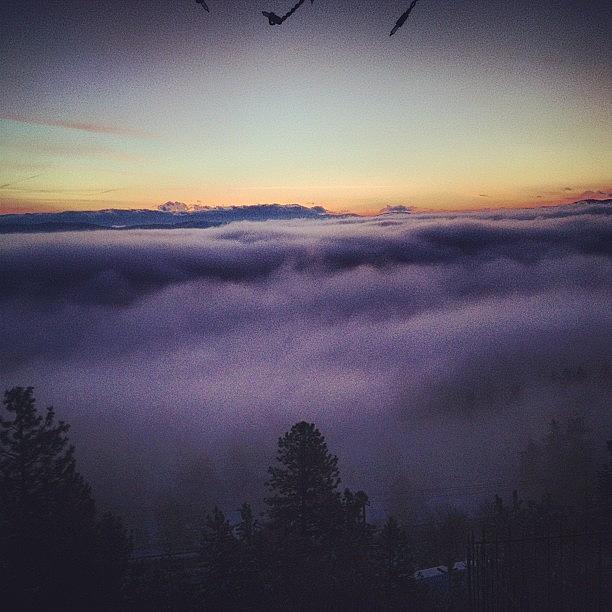 Foggy Christmas Morning Photograph by Paige Martin