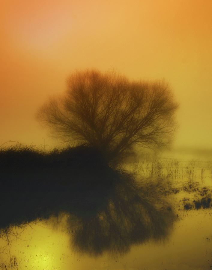 Foggy Dawn Photograph By Floyd Hopper - Fine Art America