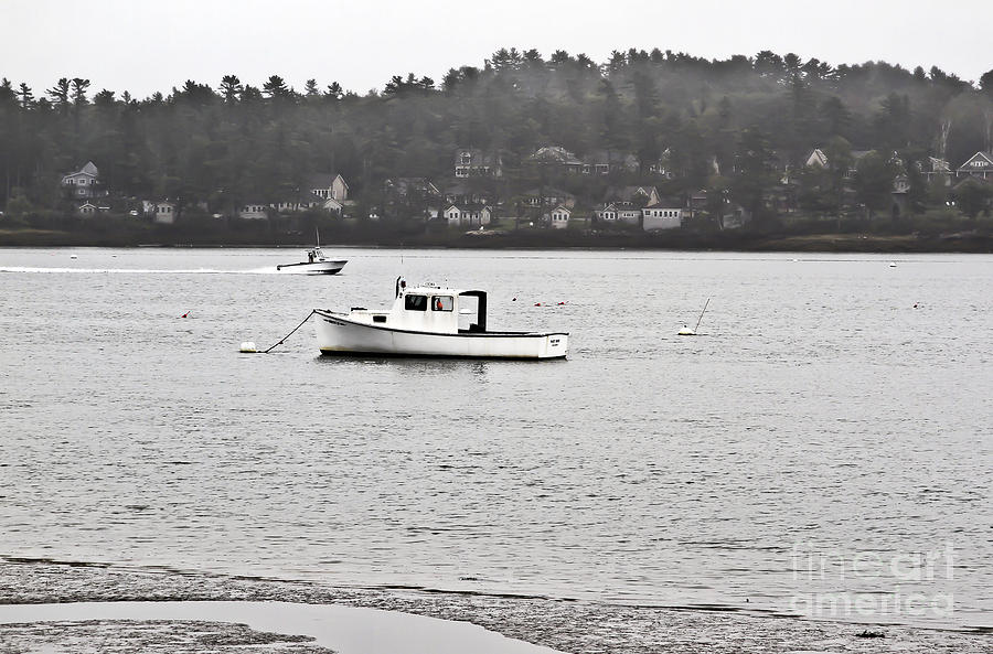 Maine Photograph - Foggy Day by Brenda Giasson